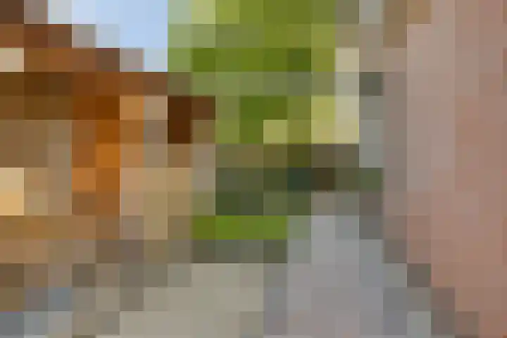 Graaf van Hornelaan 34 Werkendam thumbnail 36