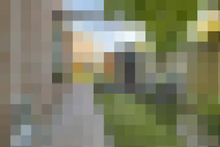 Graaf van Hornelaan 34 Werkendam thumbnail 37