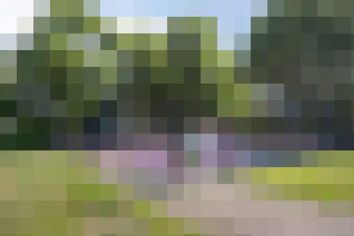 Graaf van Hornelaan 34 Werkendam thumbnail 40