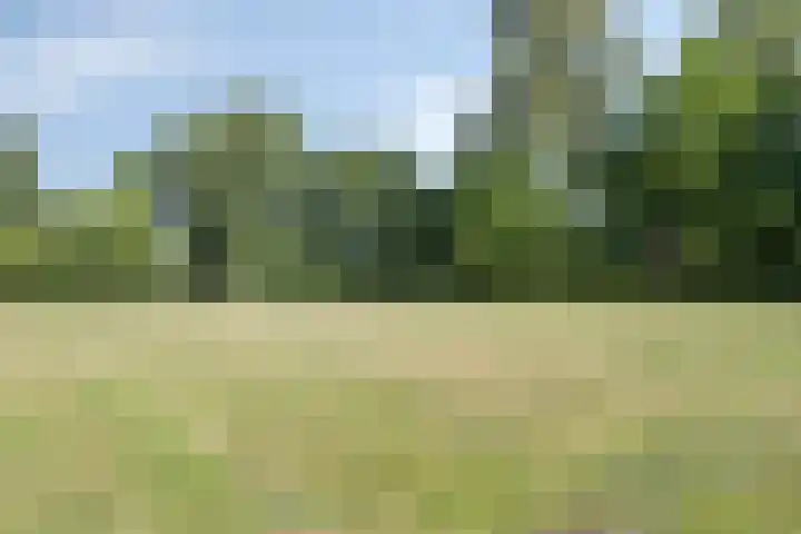 Graaf van Hornelaan 34 Werkendam thumbnail 41