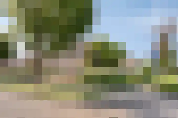 Graaf van Hornelaan 34 Werkendam thumbnail 46