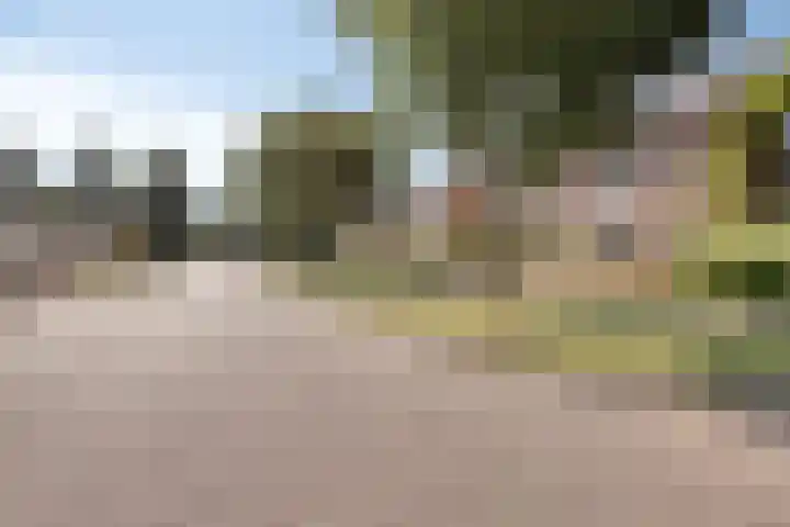 Graaf van Hornelaan 34 Werkendam thumbnail 7