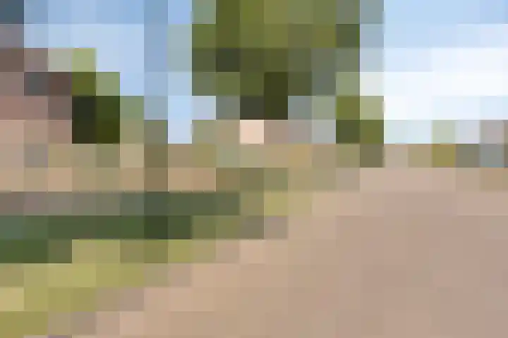 Graaf van Hornelaan 34 Werkendam thumbnail 8