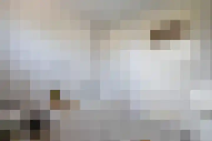 Graaf van Hornelaan 52 Heythuysen thumbnail 11