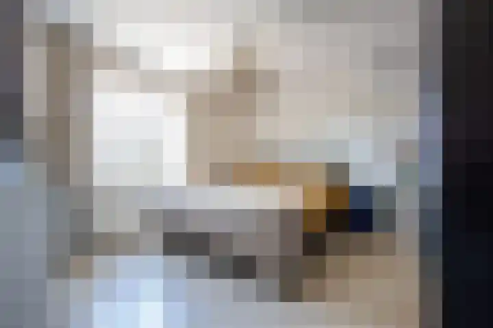 Graaf van Hornelaan 52 Heythuysen thumbnail 13