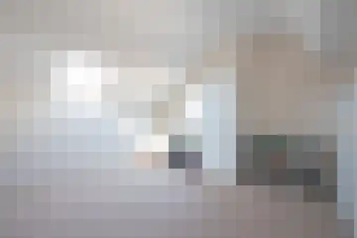 Graaf van Hornelaan 52 Heythuysen thumbnail 19