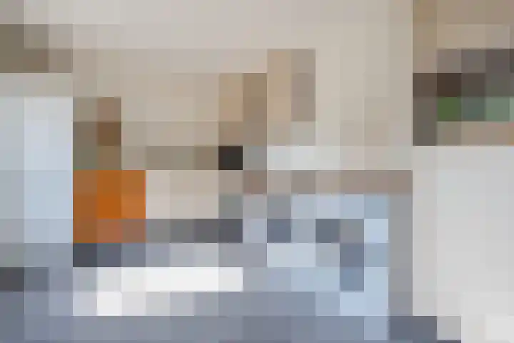 Graaf van Hornelaan 52 Heythuysen thumbnail 21