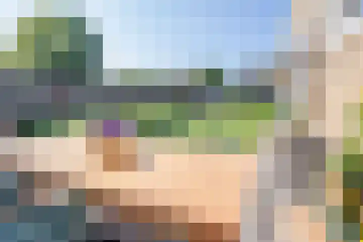 Graaf van Hornelaan 52 Heythuysen thumbnail 23