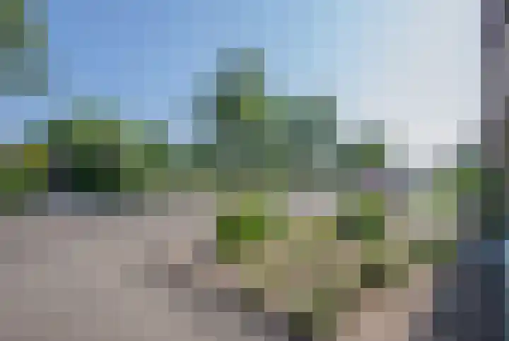 Graaf van Hornelaan 52 Heythuysen thumbnail 27