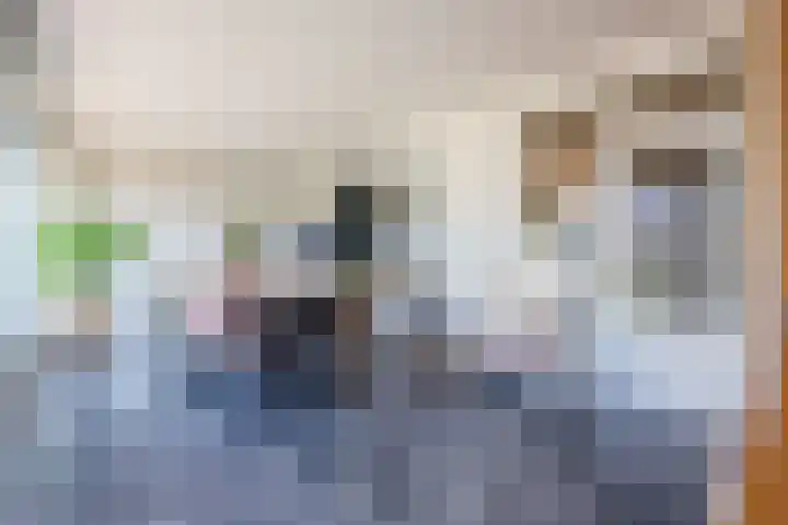 Graaf van Hornelaan 52 Heythuysen thumbnail 4