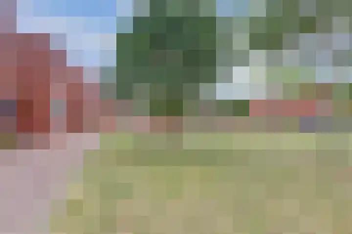 Graaf van Kesselstraat 6 Venlo thumbnail 5
