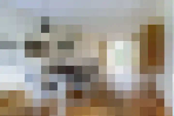 Graaf van Kesselstraat 6 Venlo thumbnail 6