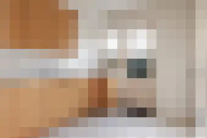 Graaf Van Lijndenlaan 15 Apeldoorn thumbnail 10