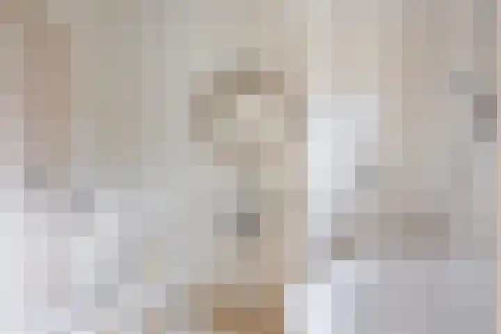 Graaf Van Lijndenlaan 15 Apeldoorn thumbnail 14