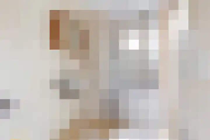 Graaf Van Lijndenlaan 15 Apeldoorn thumbnail 15
