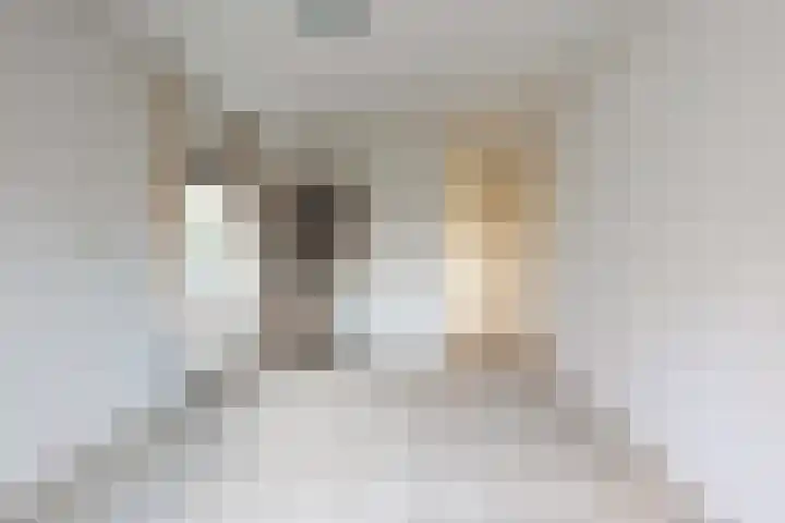 Graaf Van Lijndenlaan 15 Apeldoorn thumbnail 17