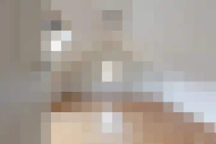Graaf Van Lijndenlaan 15 Apeldoorn thumbnail 22