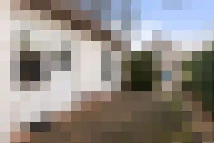 Graaf Van Lijndenlaan 15 Apeldoorn thumbnail 26