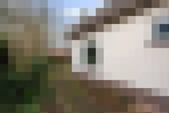 Graaf Van Lijndenlaan 15 Apeldoorn thumbnail 27