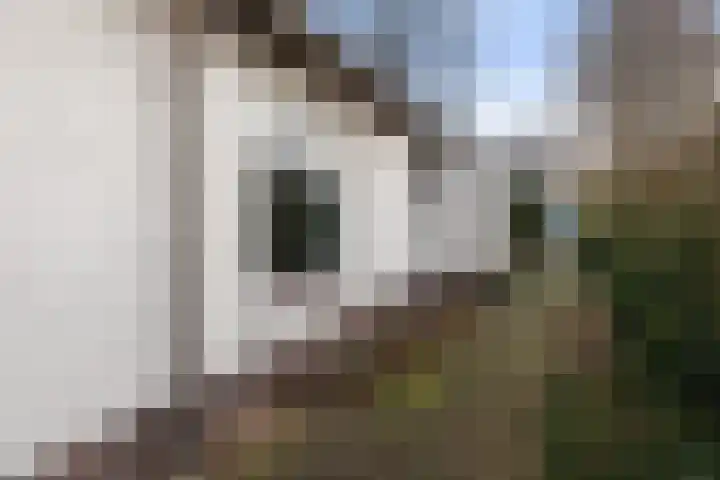 Graaf Van Lijndenlaan 15 Apeldoorn thumbnail 28