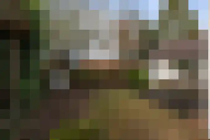 Graaf Van Lijndenlaan 15 Apeldoorn thumbnail 29