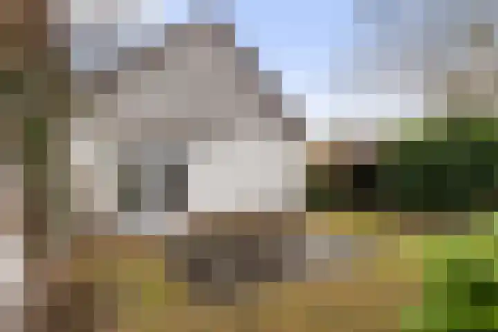 Graaf Van Lijndenlaan 15 Apeldoorn thumbnail 31