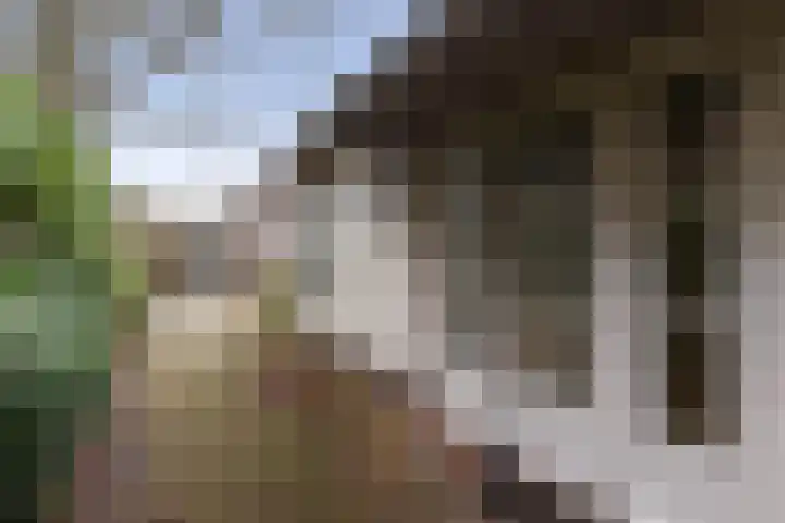 Graaf Van Lijndenlaan 15 Apeldoorn thumbnail 4