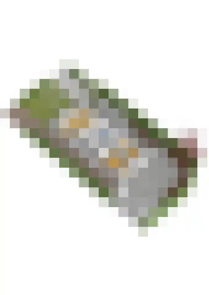 Graaf Van Lijndenlaan 15 Apeldoorn thumbnail 43