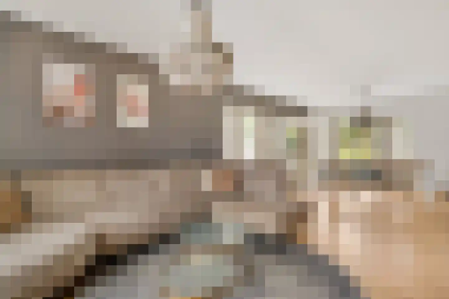 Graaf van Loonlaan 19 Heythuysen thumbnail 18