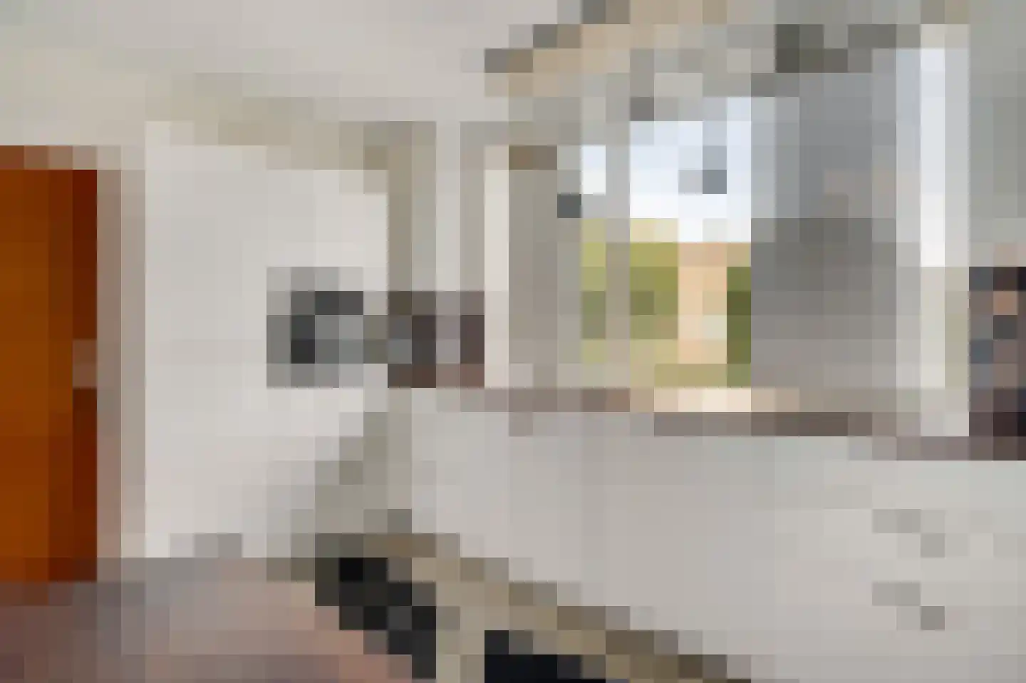 Graaf van Loonlaan 19 Heythuysen thumbnail 21