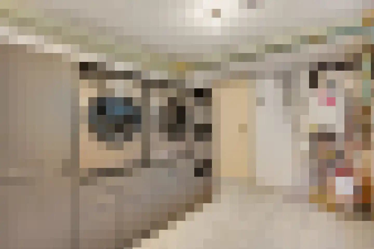 Graaf van Loonlaan 19 Heythuysen thumbnail 25