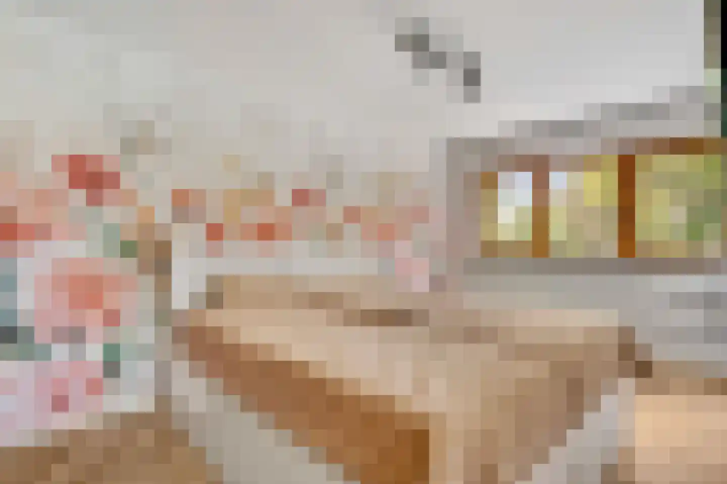 Graaf van Loonlaan 19 Heythuysen thumbnail 30