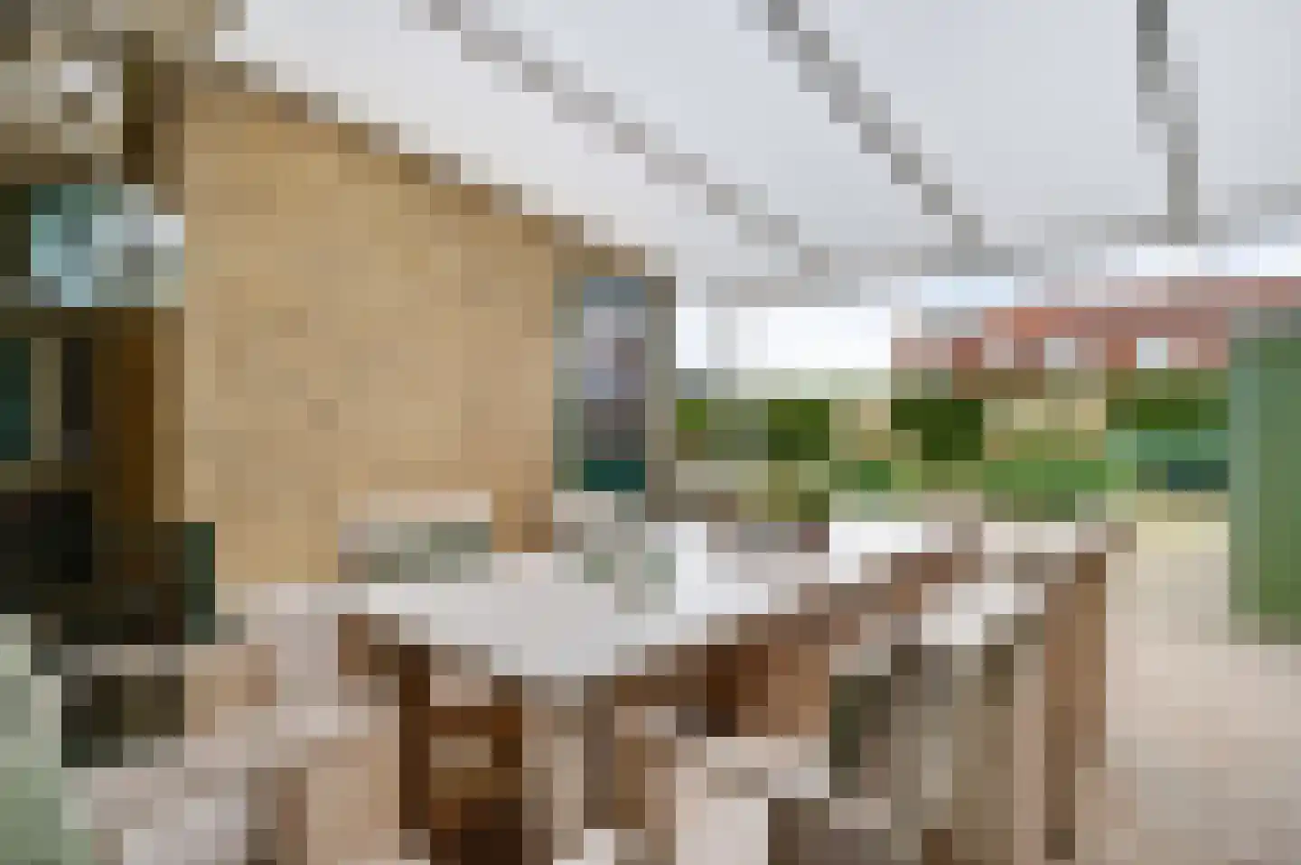 Graaf van Loonlaan 19 Heythuysen thumbnail 46