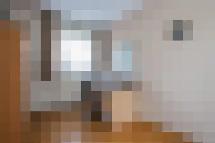 Graaf van Loonlaan 23 Heythuysen thumbnail 10