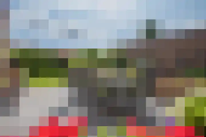 Graaf van Loonlaan 23 Heythuysen thumbnail 26