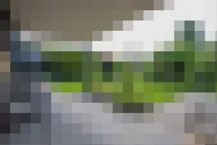Graaf van Loonlaan 23 Heythuysen thumbnail 28