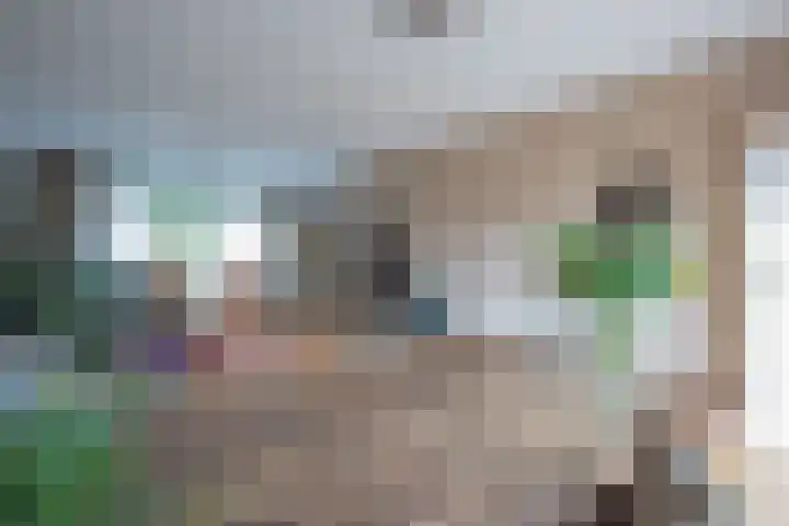 Graaf van Loonlaan 23 Heythuysen thumbnail 5
