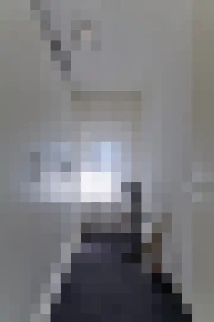 Graaf van Loonlaan 65 Heythuysen thumbnail 18