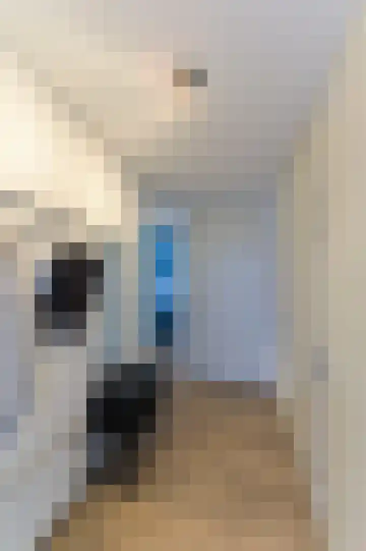 Graaf van Loonlaan 65 Heythuysen thumbnail 22