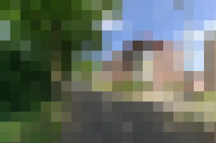Graaf van Loonlaan 65 Heythuysen thumbnail 32