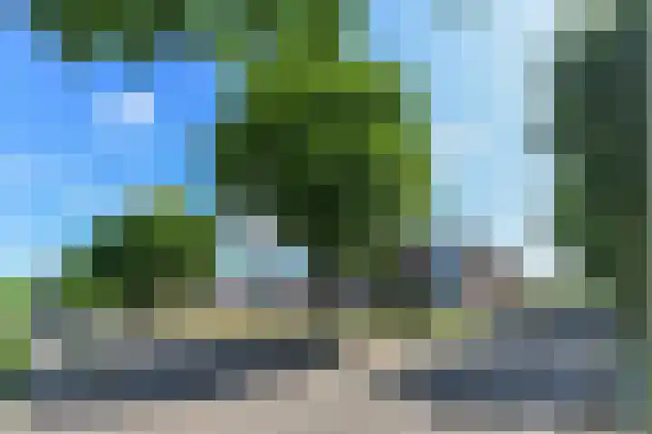 Graaf van Loonlaan 65 Heythuysen thumbnail 34