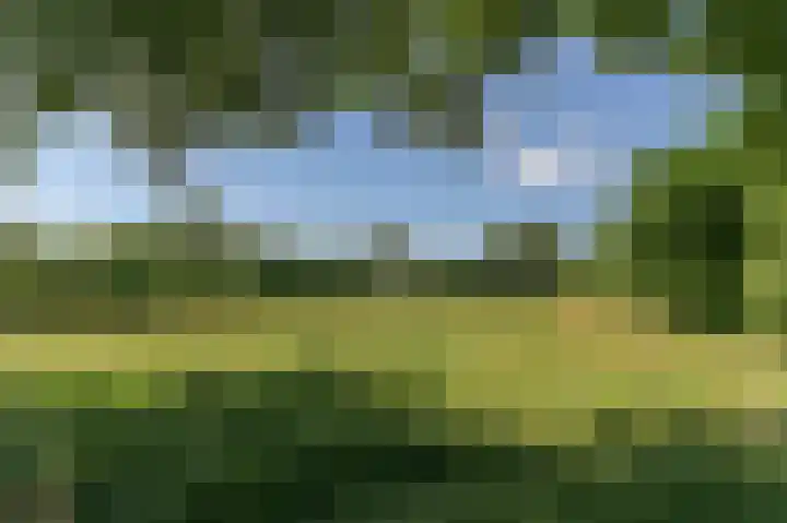 Graaf van Loonlaan 65 Heythuysen thumbnail 35