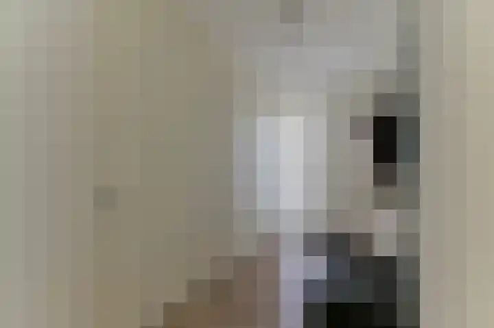 Graaf van Loonlaan 65 Heythuysen thumbnail 4