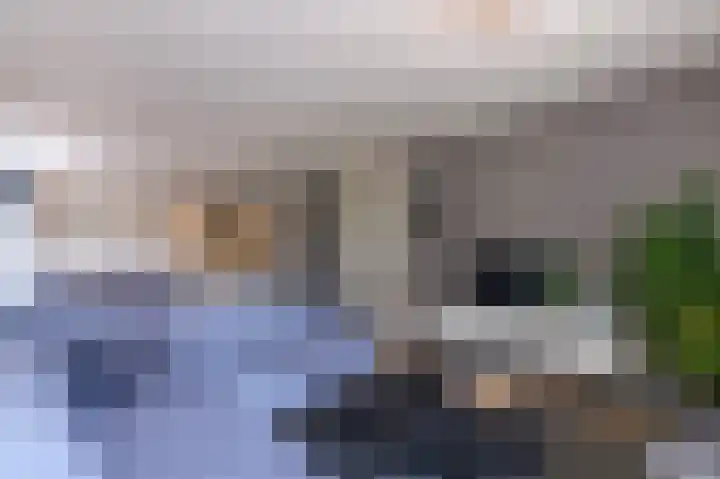 Graaf van Loonlaan 65 Heythuysen thumbnail 5