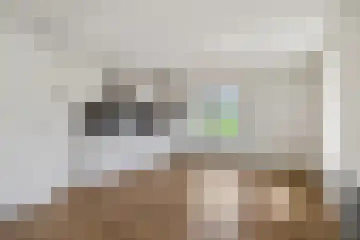 Graaf van Lynden van Sandenburgweg 3 06 Wijk bij Duurstede thumbnail 4