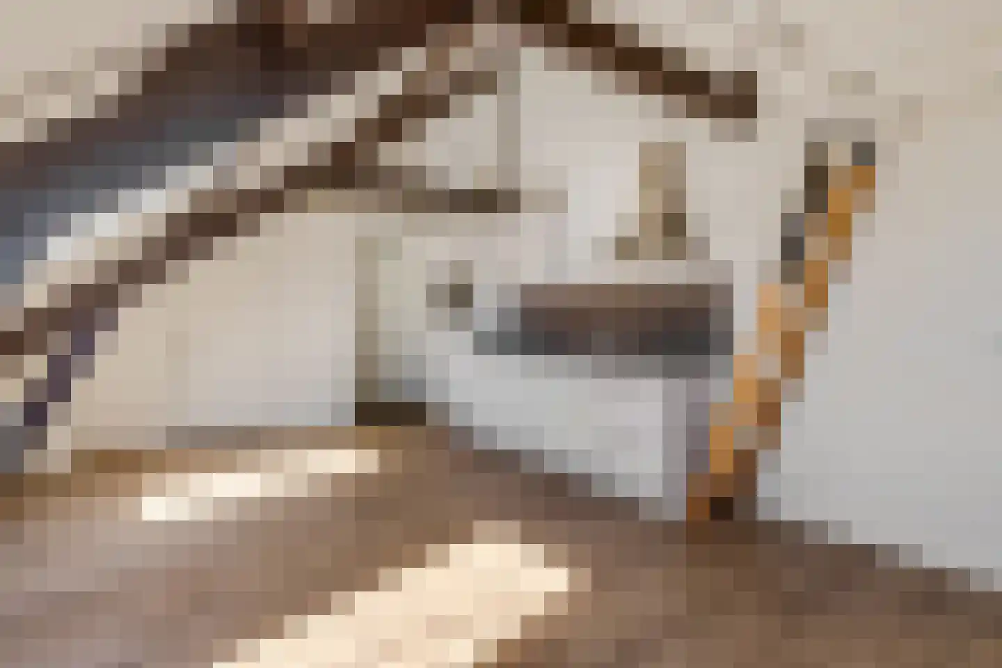 Graaf van Lynden van Sandenburgweg 3 14 Wijk bij Duurstede thumbnail 4