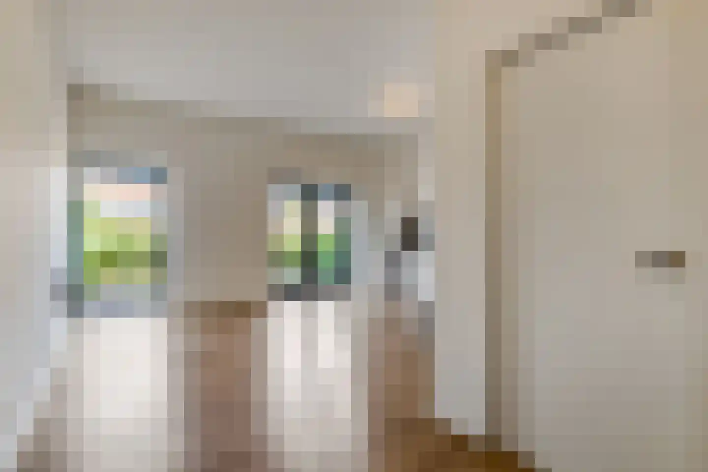 Graaf van Lynden van Sandenburgweg 3 16 Wijk bij Duurstede thumbnail 10