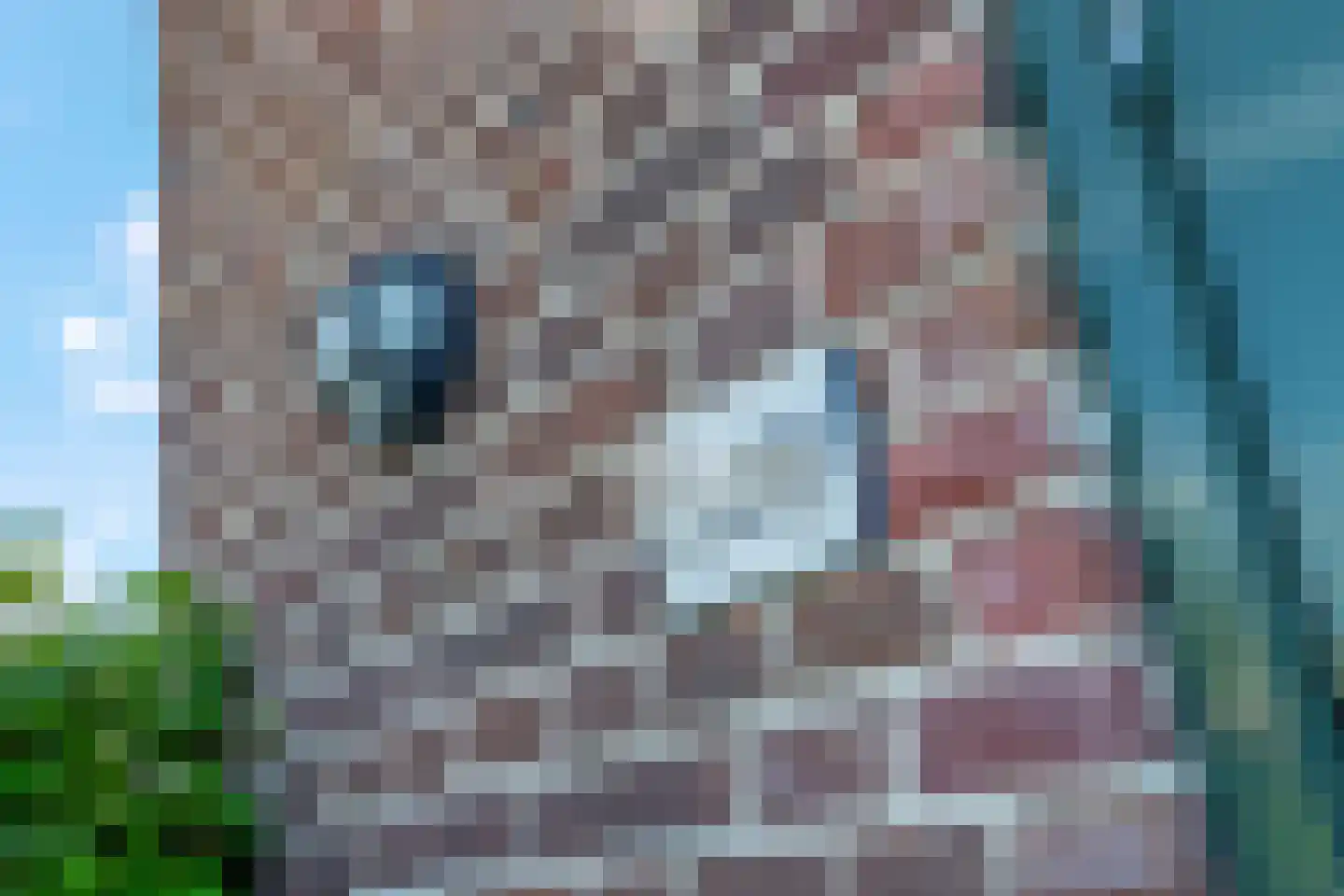 Graaf van Lynden van Sandenburgweg 3 16 Wijk bij Duurstede thumbnail 8