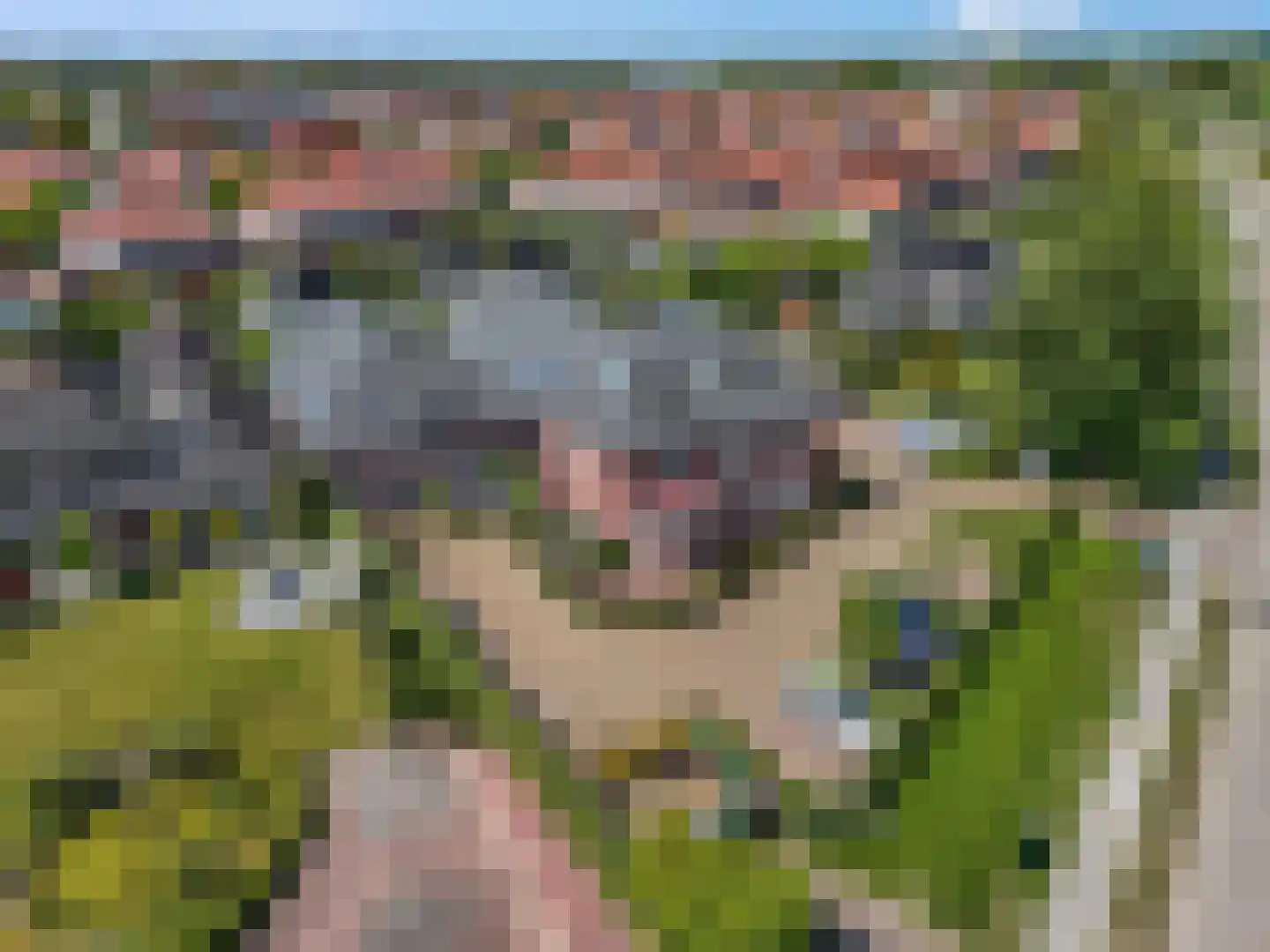 Graaf van Lynden van Sandenburgweg 3 17 Wijk bij Duurstede thumbnail 17