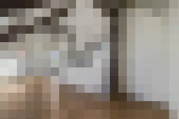 Graaf van Lynden van Sandenburgweg 3 20 Wijk bij Duurstede thumbnail 4